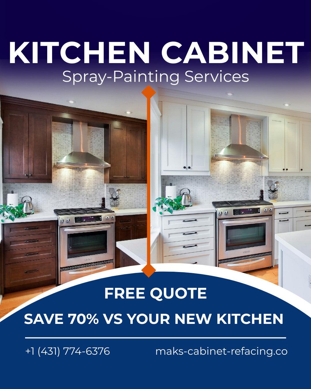 Affordable Alternative to replacing Cabinets