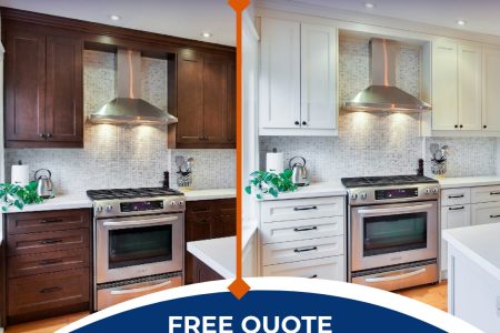 Affordable Alternative to replacing Cabinets